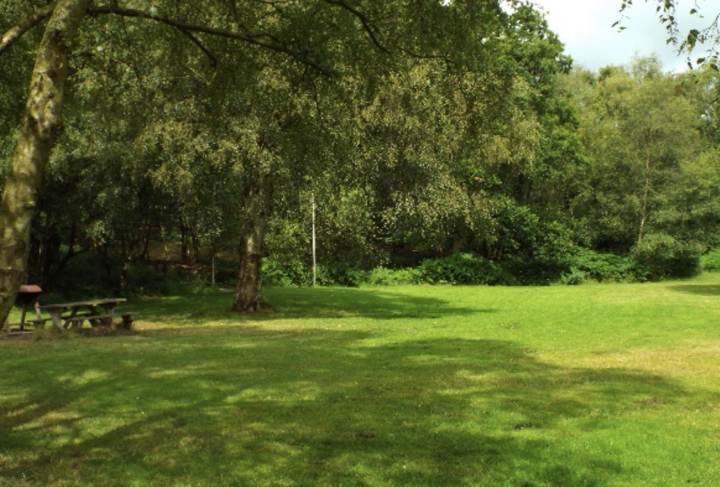 The Woodland Glades