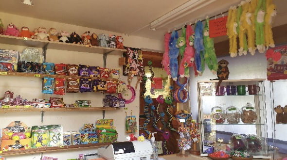 Campsite Shop
