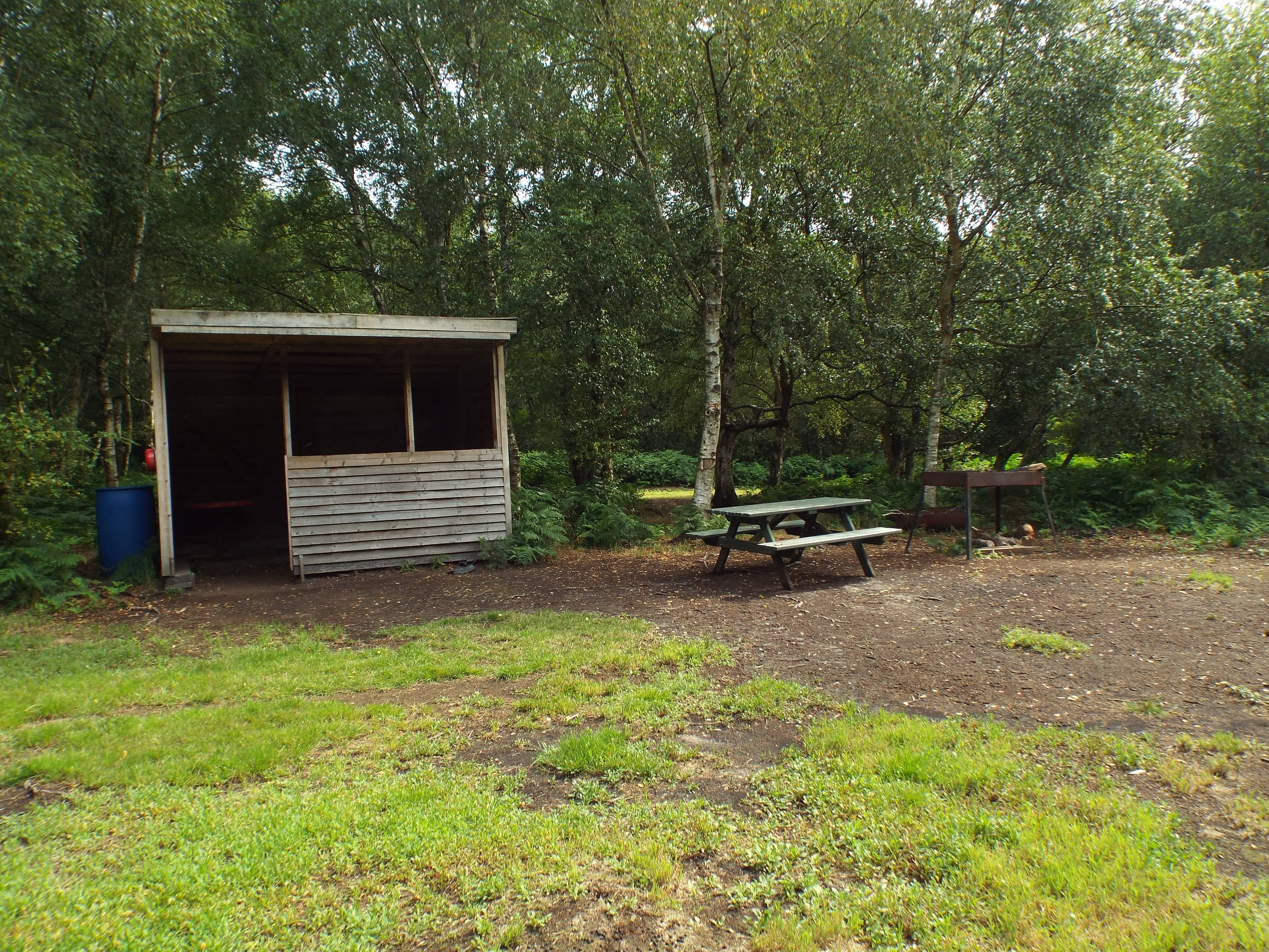 The Woodland Glades